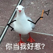 一本正经的沙雕文案,一本正经的沙雕文案精选